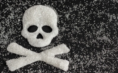 Dispatch #5 — Sugar, Insulin, and Aging: Why Blood Sugar Control Is the New Fountain of Youth
